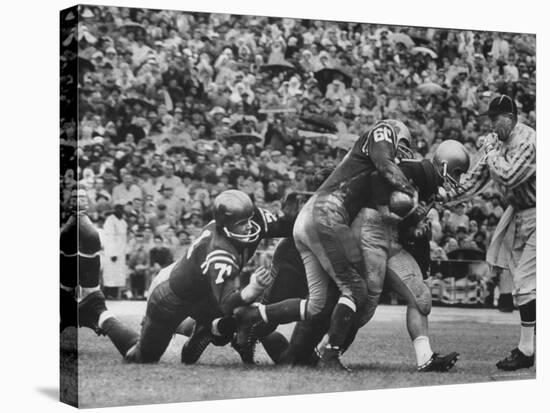 Navy's Prize Halfback Joe Bellino Dragging Tacklers in a Game Against Notre Dame-George Silk-Premier Image Canvas