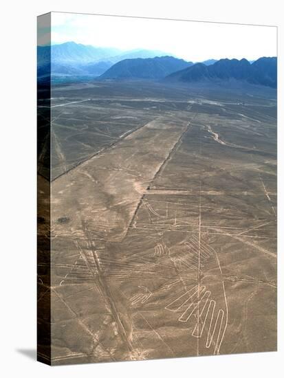 Nazca Lines-David Nunuk-Premier Image Canvas