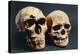 Neanderthal And Cro-Magnon 1 Skulls-John Reader-Premier Image Canvas