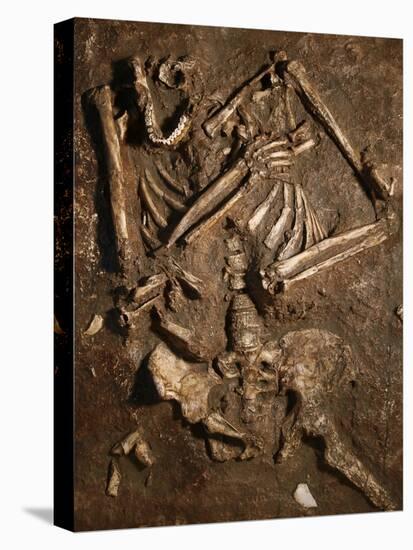 Neanderthal Skeleton, Kebara Cave, Israel-Javier Trueba-Premier Image Canvas