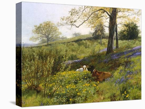 Near Dorking, Surrey-Charles Collins-Premier Image Canvas