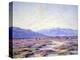 Near Palm Springs-John Frost-Stretched Canvas