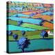 Near Sidmouth-Paul Powis-Premier Image Canvas