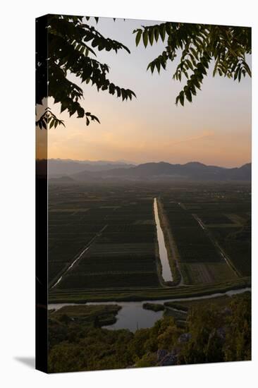 near Staseviki, Dalmatia, Croatia. Agricultural landscape.-null-Premier Image Canvas