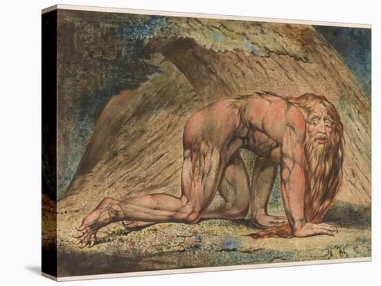 Nebuchadnezzar, 1795-William Blake-Premier Image Canvas