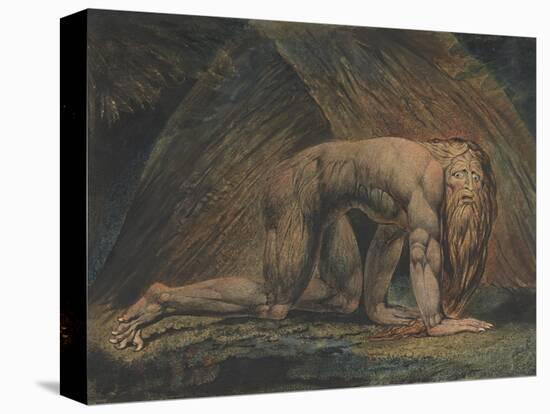 Nebuchadnezzar-William Blake-Premier Image Canvas