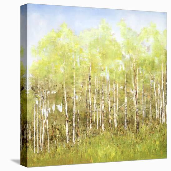 Necessary Change, Spring-Danna Harvey-Premier Image Canvas