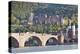 Neckar River with Karl Theodor Bridge-Markus-Premier Image Canvas