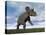 Nedoceratops Dinosaur Grazing in Grassy Field-null-Stretched Canvas