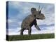 Nedoceratops Dinosaur Grazing in Grassy Field-null-Stretched Canvas
