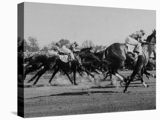 Needles in Kentucky Derby, Winner of the 82nd Running of the Most Famous of US Horse Races-Hank Walker-Premier Image Canvas