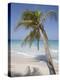 Negril, Jamaica, West Indies, Caribbean, Central America-Angelo Cavalli-Premier Image Canvas