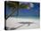 Negril, Jamaica, West Indies, Caribbean, Central America-Angelo Cavalli-Premier Image Canvas