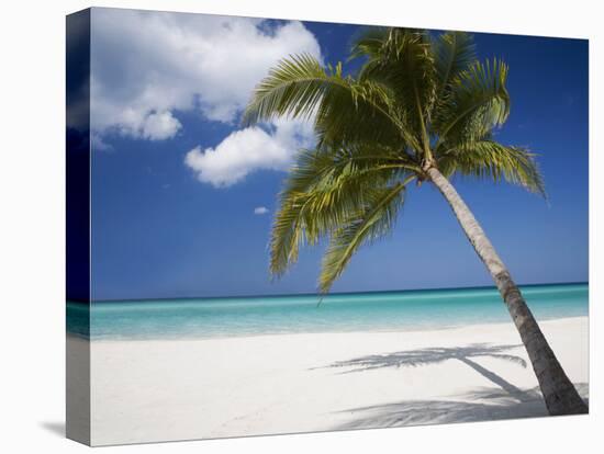 Negril, Jamaica, West Indies, Caribbean, Central America-Angelo Cavalli-Premier Image Canvas