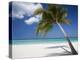 Negril, Jamaica, West Indies, Caribbean, Central America-Angelo Cavalli-Premier Image Canvas