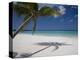 Negril, Jamaica, West Indies, Caribbean, Central America-Angelo Cavalli-Premier Image Canvas