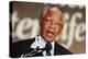 Nelson Mandela-John Parkin-Premier Image Canvas