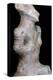 Neolithic Vinca Pottery Figure. Artist: Unknown-Unknown-Premier Image Canvas