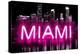 Neon Miami PB-Hailey Carr-Stretched Canvas