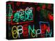 Neon Signs for Sale in Dotombori District Market, Osaka, Japan-Nancy & Steve Ross-Premier Image Canvas