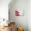 Nepal Flag Design with Wood Patterning - Flags of the World Series-Philippe Hugonnard-Stretched Canvas displayed on a wall