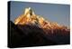 Nepal. Machapuchare Mountain in the Himalayas Region-Janell Davidson-Premier Image Canvas