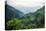 Nepal, viewpoint from Mardi Himal Trek. Lush terraced rice fields.-Janell Davidson-Premier Image Canvas