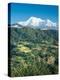Nepal, vlley and Annapurna Range-Janell Davidson-Premier Image Canvas