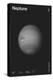 Neptune : Minimal Planets Datas, 2023 (Digital)-Florent Bodart-Premier Image Canvas