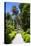 Neptune's Steps, Abbey Gardens, Isle of Tresco, Isles of Scilly, United Kingdom, Europe-Peter Barritt-Premier Image Canvas