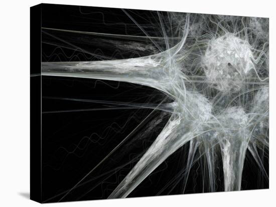 Nerve Cell, Abstract Artwork-Laguna Design-Premier Image Canvas