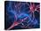 Nerve Synapses, Artwork-Laguna Design-Premier Image Canvas