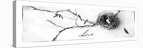 Nest and Branch II Love-Debra Van Swearingen-Stretched Canvas