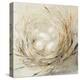 Nest with Pale Eggs-Dina Dargo-Stretched Canvas