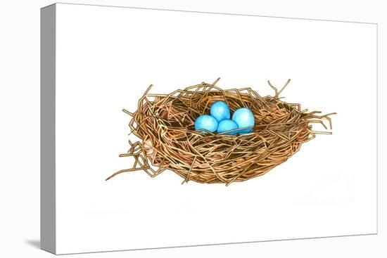 Nest-Wendy Edelson-Premier Image Canvas