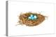 Nest-Wendy Edelson-Premier Image Canvas