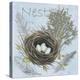 Nesting Collection I-Jade Reynolds-Stretched Canvas