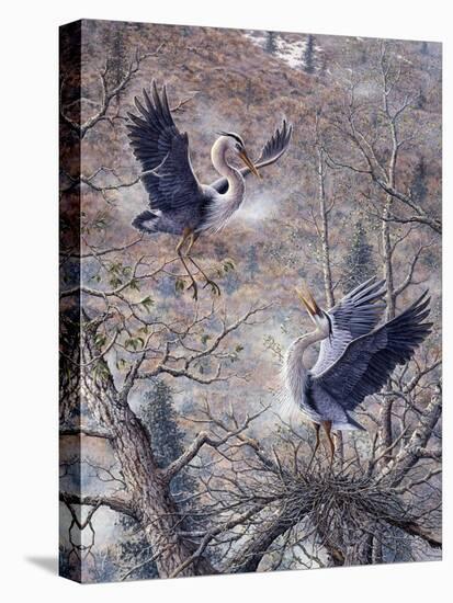 Nesting Time - Great Blue Herons-Jeff Tift-Premier Image Canvas