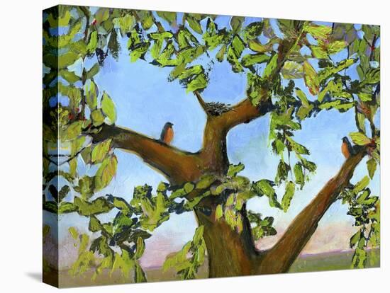 Nesting-Blenda Tyvoll-Stretched Canvas
