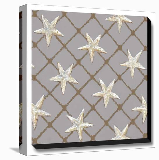 Net Full of Stars-Arnie Fisk-Stretched Canvas