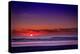 Netherlands, Holland, Beach on the West Frisian Island of Texel, North Holland, Sunset-Beate Margraf-Premier Image Canvas