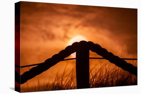 Netherlands, Holland, on the West Frisian Island of Texel, Province of North Holland-Beate Margraf-Premier Image Canvas