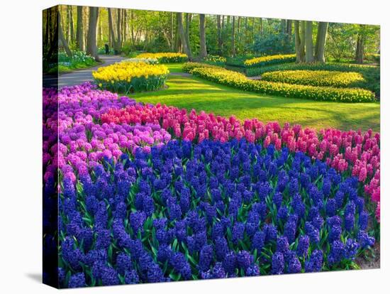 Netherlands, Lisse. Flower displays at Keukenhof Gardens.-Julie Eggers-Premier Image Canvas