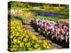 Netherlands, Lisse. Flower displays at Keukenhof Gardens.-Julie Eggers-Premier Image Canvas