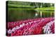 Netherlands, Lisse, Swan Swimming-Hollice Looney-Premier Image Canvas