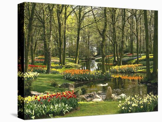 Netherlands, South Holland, Keukenhof, Flower Park, Spring-Thonig-Premier Image Canvas