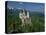 Neuschwanstein Castle, Germany, Europe-Williams Andy-Premier Image Canvas