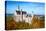 Neuschwanstein Castle in Bavarian Alps, Germany-swisshippo-Premier Image Canvas