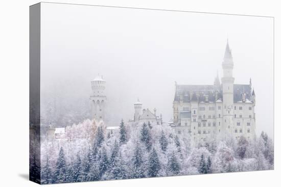 Neuschwanstein Castle in Winter, Fussen, Bavaria, Germany, Europe-Miles Ertman-Premier Image Canvas
