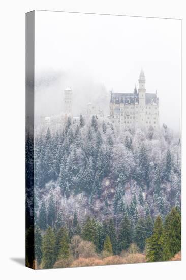 Neuschwanstein Castle in Winter, Fussen, Bavaria, Germany, Europe-Miles Ertman-Premier Image Canvas